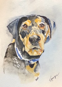 a watercolor painting of a black and tan dog